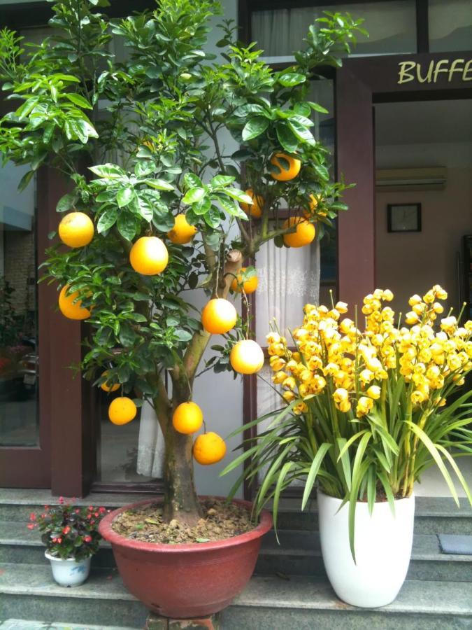 Thien Anh Hotel Hải Phòng Extérieur photo